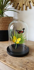 Product images  of 
