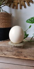 Product images  of 