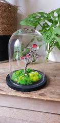 Product images  of 