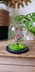 Product images  of 