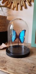 Product images  of 