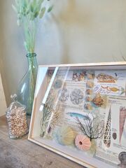 Product images  of 