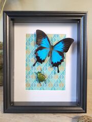 Product images  of 