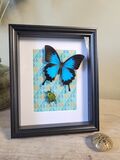 product images  of 