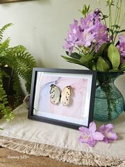 Product images  of 