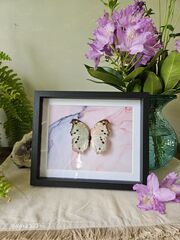 Product images  of 
