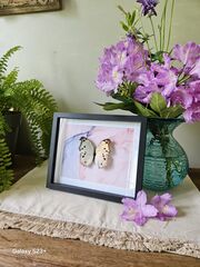 Product images  of 
