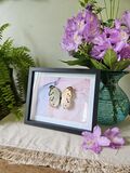 product images  of 