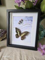 Product images  of 
