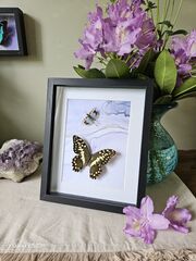 Product images  of 