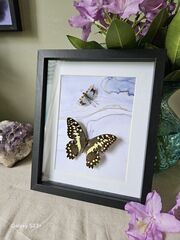 Product images  of 