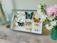 Product images  of 