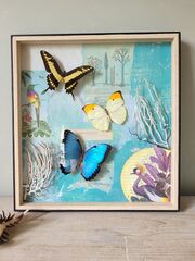 Product images  of 
