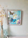 product images  of 