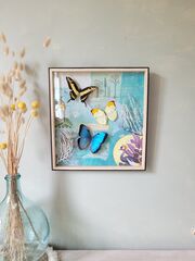 Product images  of 