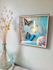 Product images  of 