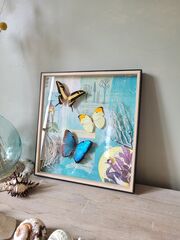 Product images  of 