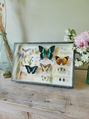 Product images  of 
