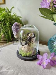 Product images  of 