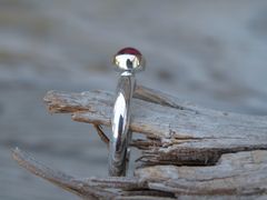 Product images  of 