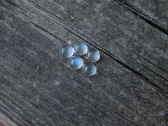 Product images  of 