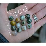 product images  of 