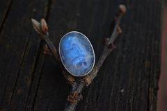 Product images  of 