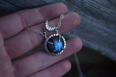 Product images  of 