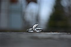 Product images  of 