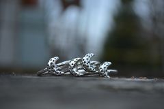 Product images  of 