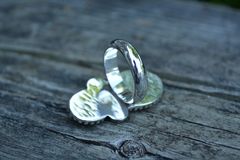 Product images  of 