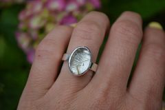 Product images  of 