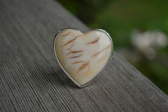 Product images  of 