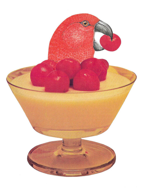 Dessert Bird, Original Collage - product images