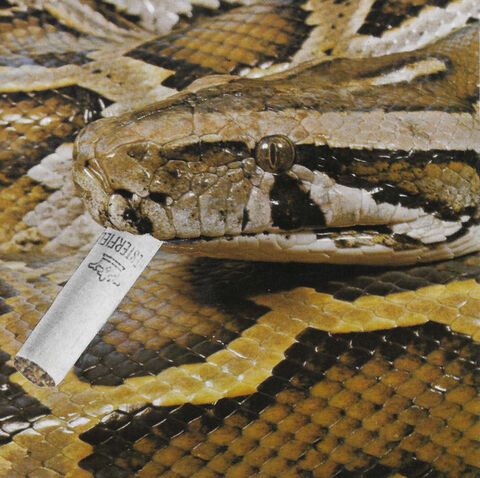 Smoking,Snake,,Original,Collage,original collage, original art collage, smoking snake, reptile art, collage art