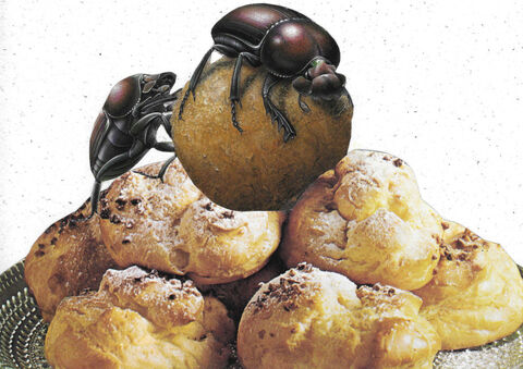 Dung,Beetle,Dessert,,Original,Collage,original collage, original art collage, collage art original, kitchen art, original kitchen art, dung beetle, dessert