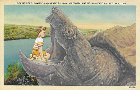 Nature,is,Calling,,Original,Collage,original collage, original art collage, postcard, snapping turtle, collage art, surreal animal art