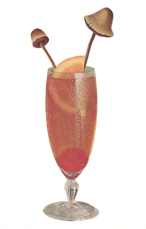 Poisonous Mushroom Cocktail, Original Collage - product images