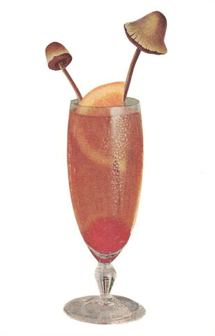 Poisonous,Mushroom,Cocktail,,Original,Collage,original collage, original art collage, poisonous mushroom, mushroom cocktail art, collage art