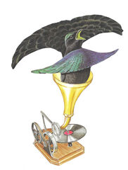 Product images  of 