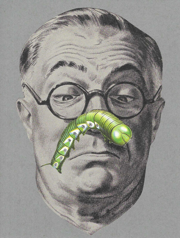 On the Nose, Original Collage - product images