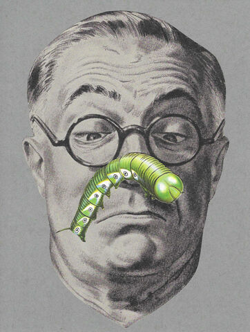 On,the,Nose,,Original,Collage,original collage, original art collage, collage art, funny bug art