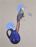 product images  of 