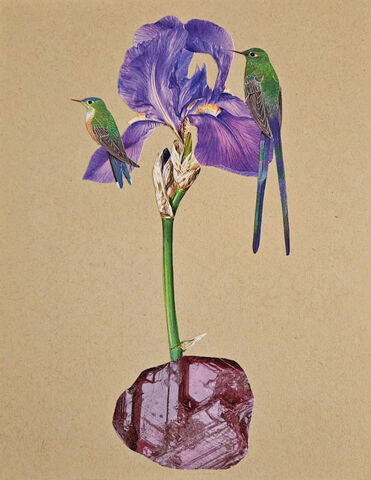 Iris,,Original,Collage,original collage, collage art, original art collage, bird art, iris