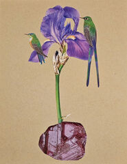 Product images  of 