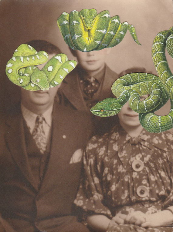 Original Collage Art - Vintage Family Portrait Green Snake Artwork - product images