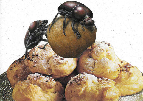 Original,Collage,Art,-,Dung,Beetles,Kitchen,Artwork,dung beetle insect paper collage, original dessert surreal art, 5x7 funny bug kitchen decor, unique dark humor foodie gift, handmade surrealism