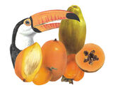 product images  of 