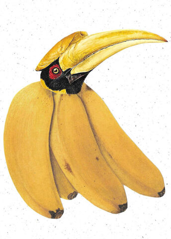 Original,Collage,Art,-,Great,Hornbill,Bananas,Artwork,original collage, great hornbill bird paper collage, original banana fruit surreal artwork, 5x7 whimsical kitchen decor, unique tropical bird gift, handmade surrealism