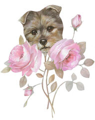 Product images  of 